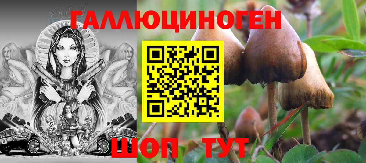Галлюциногенные грибы прущие грибы  Галлюциногенные грибы Magic Shrooms  Вход с VPN  закладки  Топки 